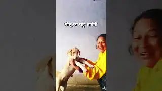 mere गोलू ke bhu savage#dogs #funny