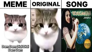 Dam Dam Didi Didi Cat Meme vs Original Cat vs Song