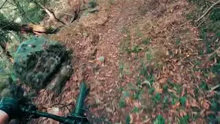 RADON SWOOP 8.0