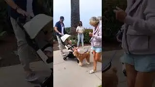 Test Driving the New mima miro Travel Stroller | Coming October 2025