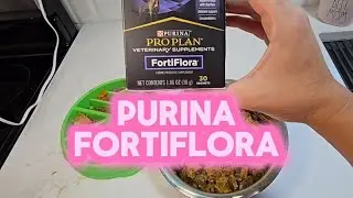 Vet-Approved Dog Probiotic That Actually Works? My Honest Review!