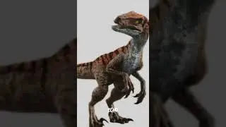 Raptor squad (blue,charlie,delta,echo)