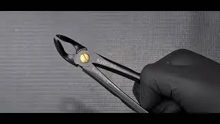Bearamed Black Dental Line: Premium Dental Instruments