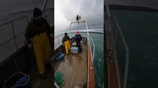 A great white shark leaps from the ocean straight into a fishing boat, captured on camera&hellip;