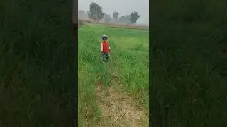 #nature #cutebaby #bollywoodsongs #premanandjipravachan #youtubeshorts