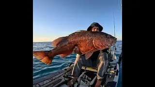 jig cubera snapper on an epic battle kayak