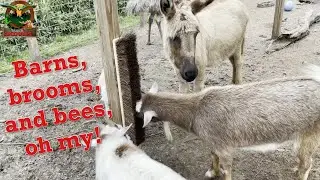 Barns, Bees, and Brooms, oh my!