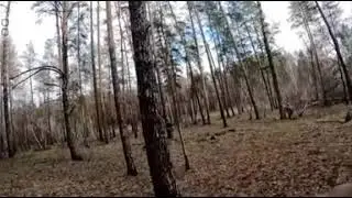 The work of the International Legion in Ukraine