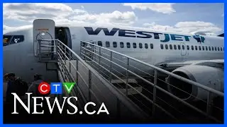Passengers want better options, cheaper fares, not reduced legroom, aviation specialist says