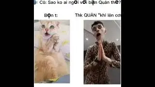 meme fun ?/  #cartoon #boboiboyapivsboboiboyair #cat #comment #cute #gaming #xhosa #memes