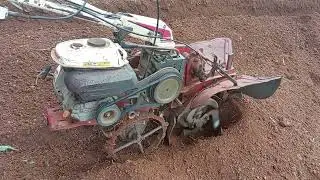 නයි මිරිස් වගාවට බූමිය සකසමින්