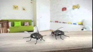 Kiwicare NO Bugs Indoors TV Commercial
