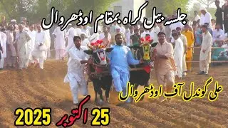 Jalsa bail karah Odherwal جلسہ بیل کراہ بمقام اوڈھروال 25اکتوبر 2025#jalsakarah2025