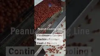 Peanut Coating Line Working Video Continuous Cooling Machine is Discharging Finished Coated Peanuts