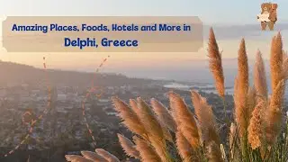 Amazing Places, Foods, Hotels and More in Delphi, Greece