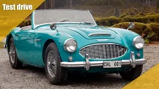 18890 - Austin Healey 3000 MkI &mdash; 1959