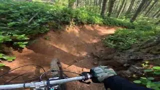 Falls Creek Trail at Capitol State Forest (Olympia, WA)