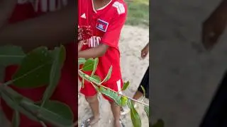 Kids play with cute worms😅🌱 #funny  #animals  #cute #worms