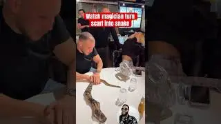 Watch magician turn scarf into a snake. #snake #magic #youtubeshorts #shorts #voiceover