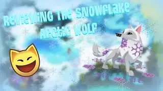 Reviewing The Snowflake Arctic Wolf l Animal Jam Review