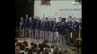 Calella de Palafrugell  l'estiu del 1979