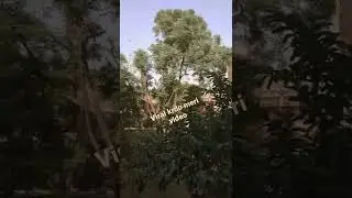 Viral krdo please meri video