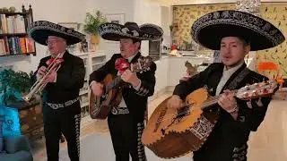 Mariachi Band @ Birthday Party in London (Live Music)