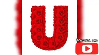 U Letter DPz
