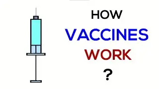 How Vaccines Work ?