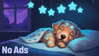 Soothing Music for Anxious Dogs (Calm Music for Pets)