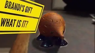Brandi's Gift: What Is It?