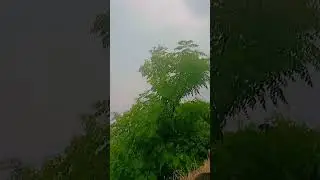 My village from shangla #lifestyle ,#my_first_vlog #please_subscribe_my_channel #likeandsubscrib