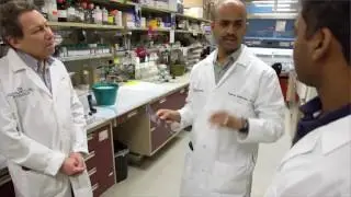 Case Comprehensive Cancer Center - Working Together to Eradicate Cancer