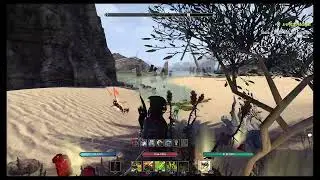 Alik'r Desert Blacksmith Survey