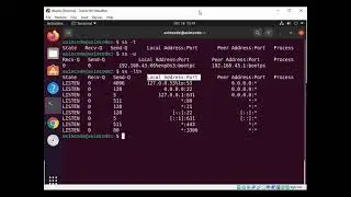Linux SS command line tool to displays socket statistics and monitor network