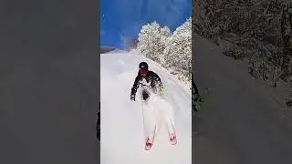 Powder skiing, madarao japan (early season) #powder #skiing #powderskiing #japow #insta360
