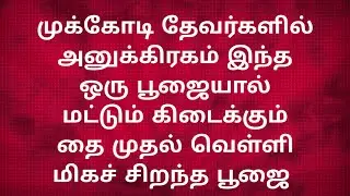 முக்கோடி தேவர்களின் அனுக்கிரகம் கிடைப்பதற்கு தை முதல் வெள்ளிக்கிழமை செய்ய வேண்டிய மிகச்சிறந்த பூஜை 