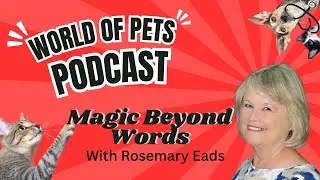 Magic Beyond Words