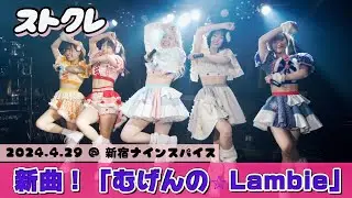 ストクレ、ストレイ シープ クレイモア、stray sheep claymore、新曲「むげんのLambie」 @新宿ナインスパイス  2024.4.29（４K動画）