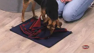 Sniffing Book/Schn&uuml;ffelbuch - Snackspielzeug f&uuml;r Hunde von TRIXIE Heimtierbedarf
