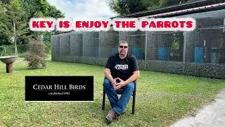 interview w the Biggest Parrot farm in USA