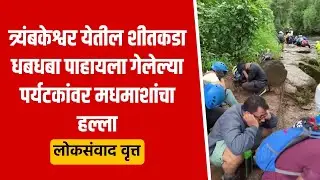 त्र्यंबकेश्वर येथील शीतकडा धबधबा पाहायला गेलेल्या पर्यटकांवर मधमाशांचा हल्ला#NashikNews #beesattack