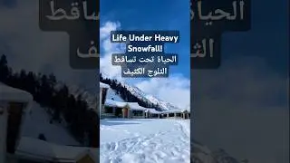 Life Under Heavy Snowfall | Naltar Valley Winter Wonderland #shorts #snowcovered