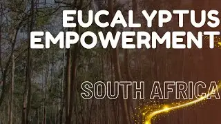 Harvesting Hope: dōTERRA's Journey of Empowering Communities and Essential Oil Innovation in KZN