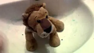 Pooflyn Challenge