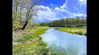 100 ACRE WOODS - RELAXING WILDLIFE AND SCENERY *002