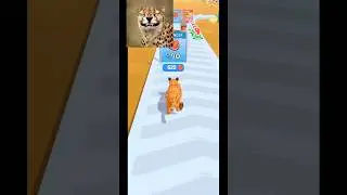 cat evolution gameplay part 3 #shorts