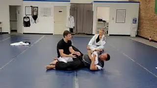 Posture in Tai Chi and BJJ