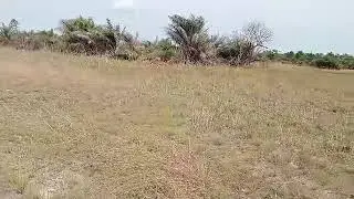Affordable Land For Sale in Ibeju Lekki - Marketed by Property Links Global 
