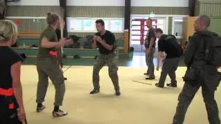 How to Disarm an Opponent with Steve Tarani #3
